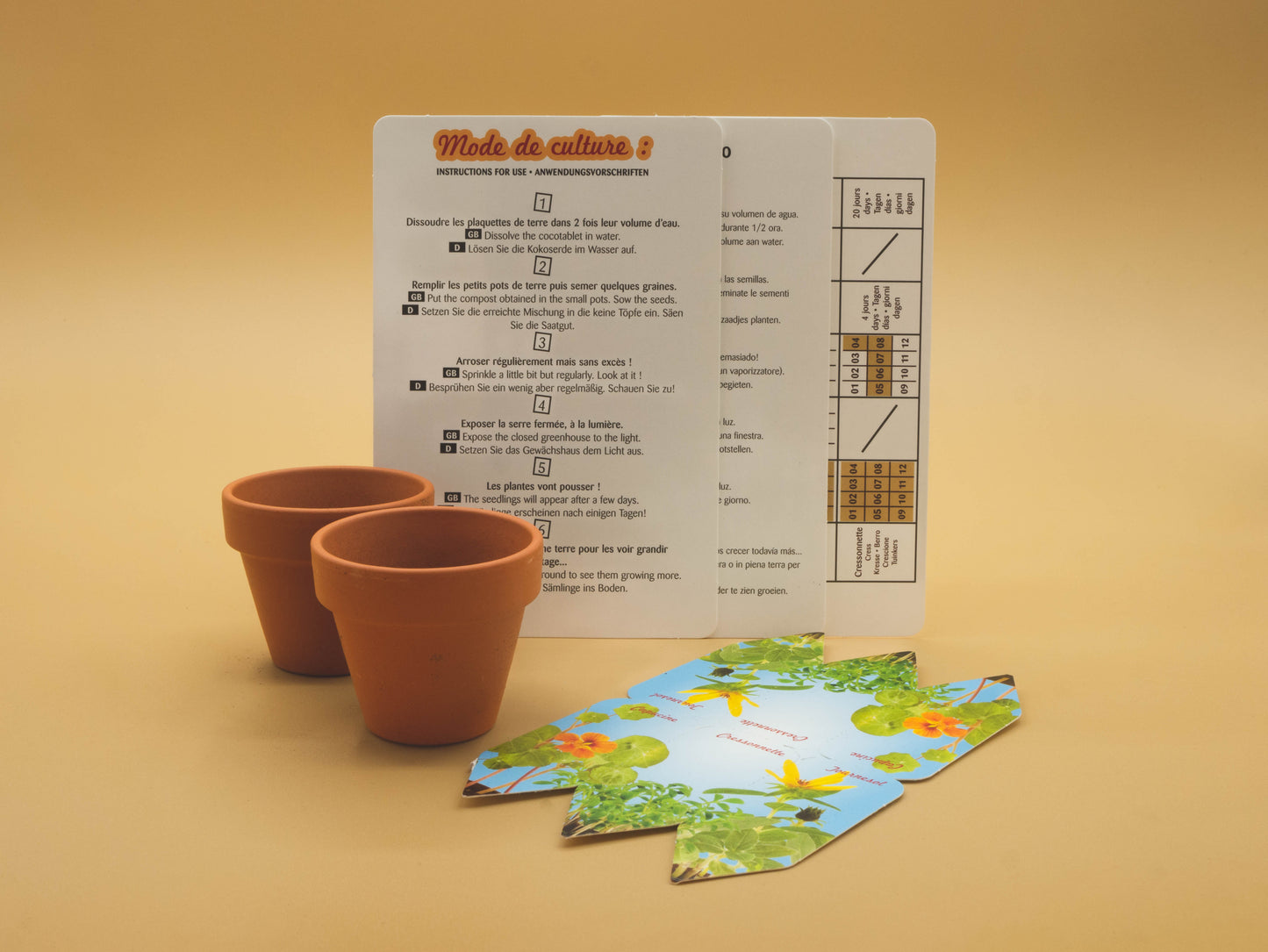 My First Garden - Nasturtium, Cress and Sunflower