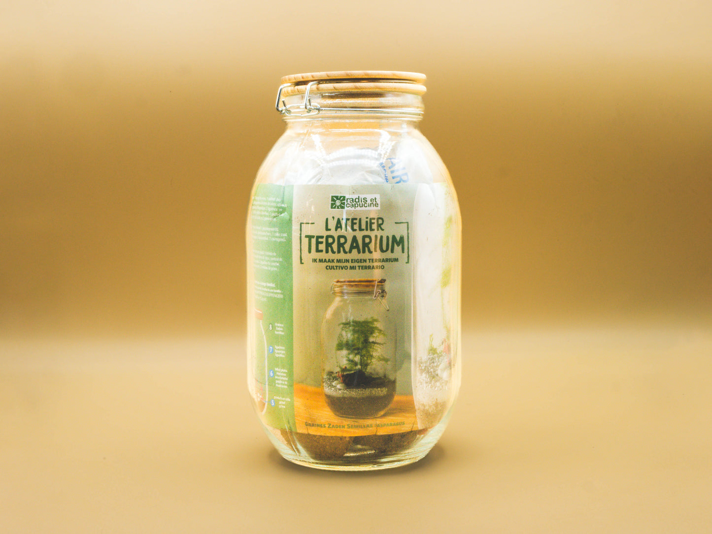 Terrarium per far crescere la pianta dell'Asparago