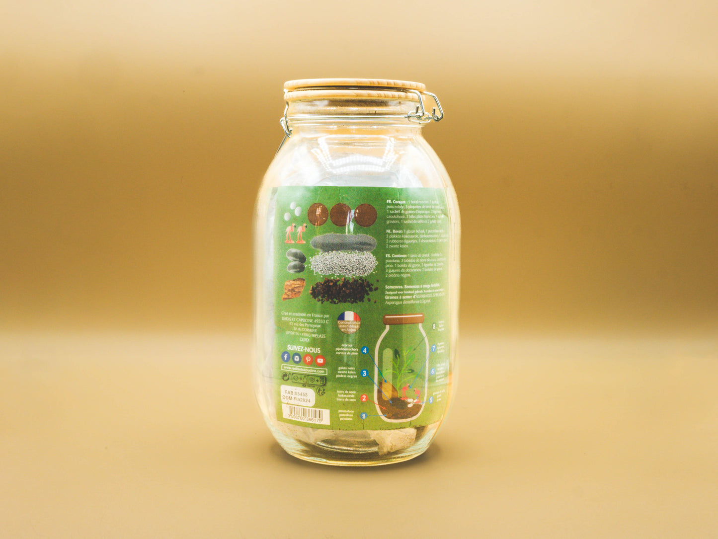 Terrarium per far crescere la pianta dell'Asparago