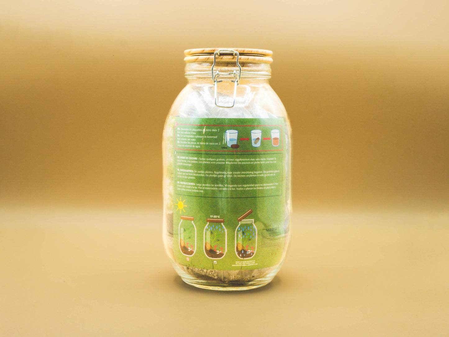 Terrarium per far crescere la pianta dell'Asparago