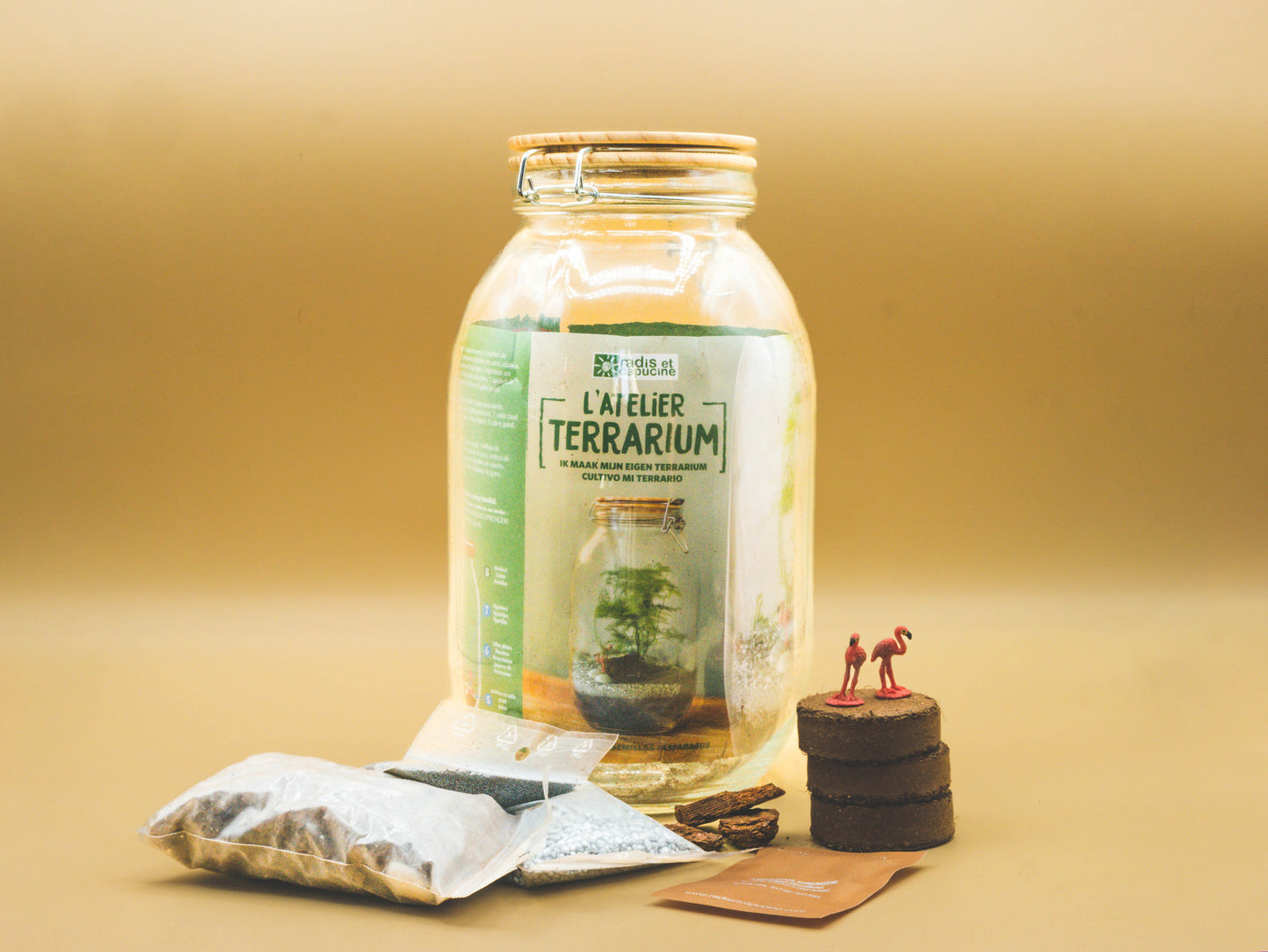 Terrarium per far crescere la pianta dell'Asparago