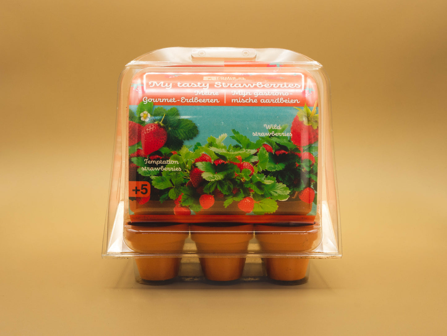 Mini-Greenhouse - Strawberries