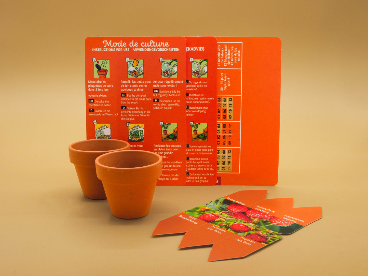 Mini-Greenhouse - Strawberries