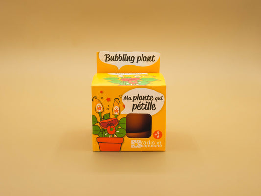 Bubbling Plant to grow