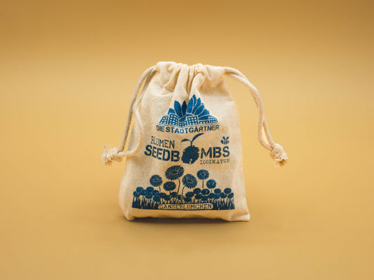 Seed Bombs - Blooming Daisies