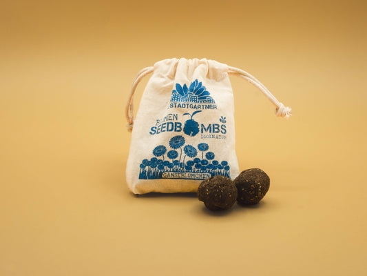 Bombe di Semi - Margherite