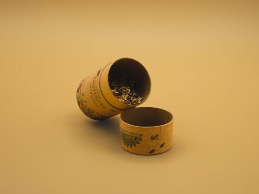 Wildflower Seeds for Bees