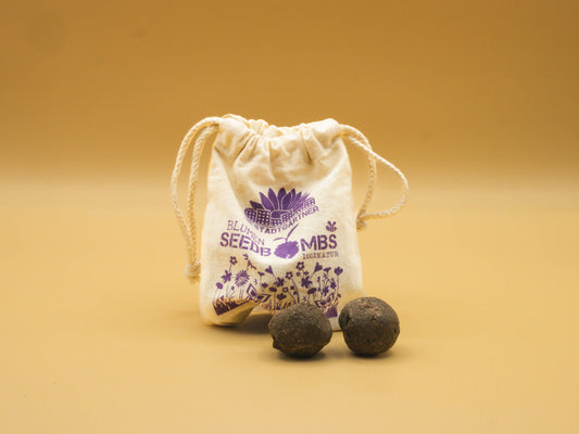 Seed Bombs - Butterfly Meadow (Blooming Flowers and Herbs)