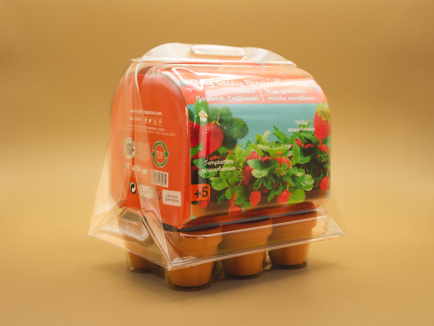 Mini-Greenhouse - Strawberries