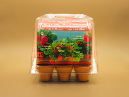 Mini-Greenhouse - Strawberries